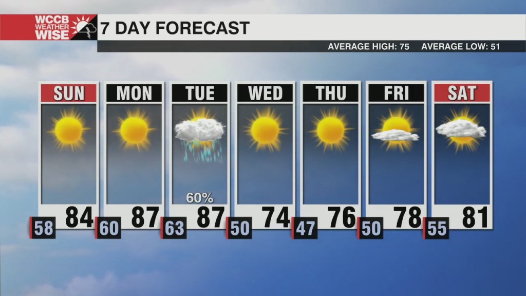 Summery 7 Day
