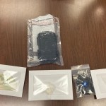Narcotics Search Warrant Image 2
