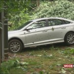 Fallen Trees, Downed Power Lines Scattered Throughout East & Ne Charlotte