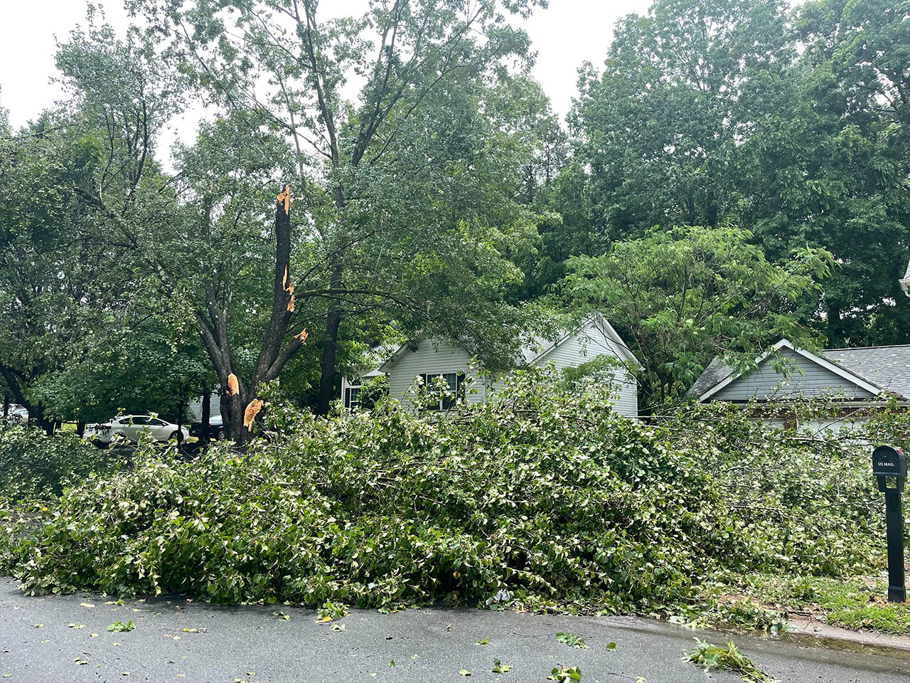 Trees Down On Back Creek Church Road. Photo Credit Aly Barnett - Wccb 