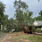 Back Creek Church Road Storm Trees Down 04