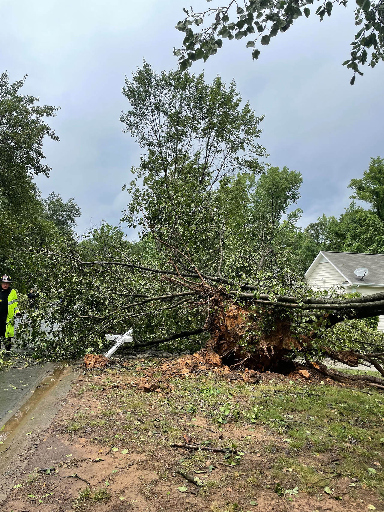 Trees Down On Back Creek Church Road. Photo Credit Aly Barnett - WCCB ...