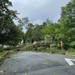 Back Creek Church Road Storm Trees Down 02