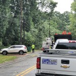 Trees Down On Rocky River Road