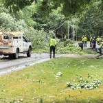 Powerlines Down On Rocky River Road