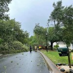 Back Creek Church Road Storm Trees Down 06
