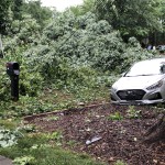 Storm Damage On Rocky River Road
