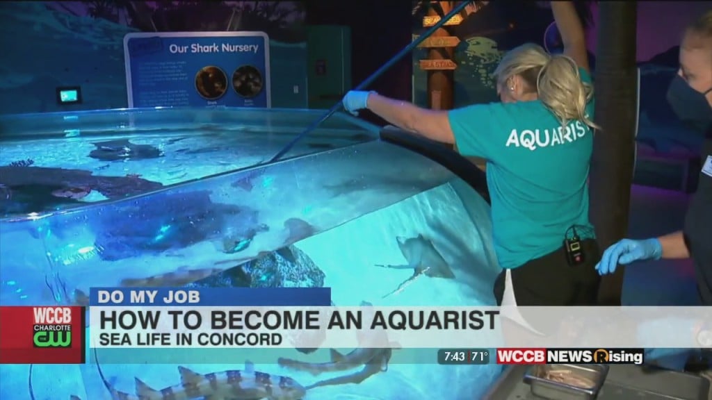 Do My Job: Aquarist