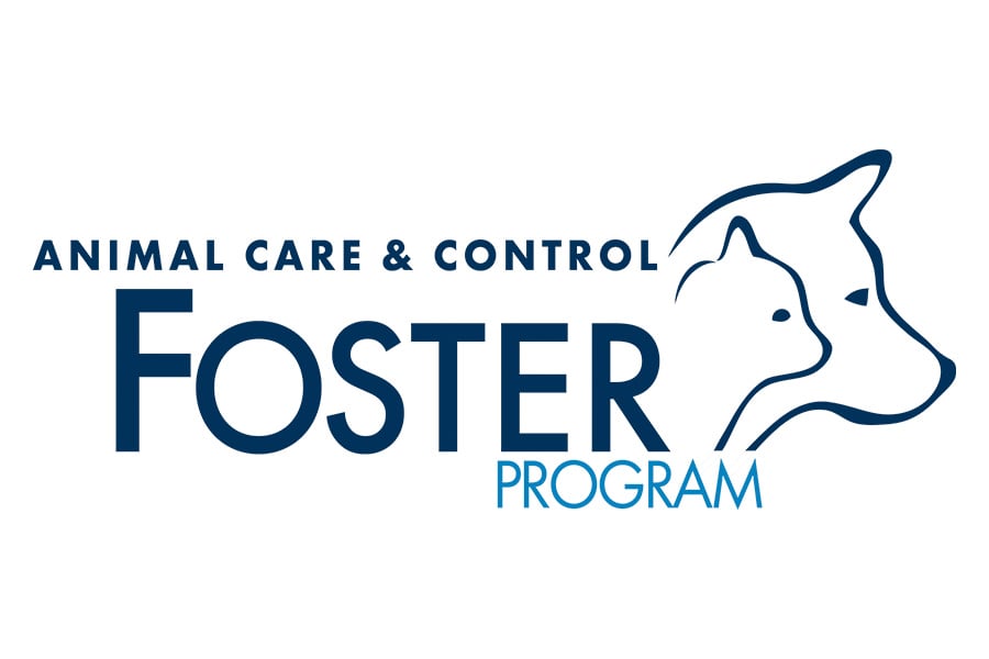 Foster Program Featured Image Cmpd Acc