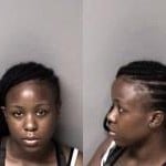 Talaria Collins Failure To Appear In Court Resisting Public Officer