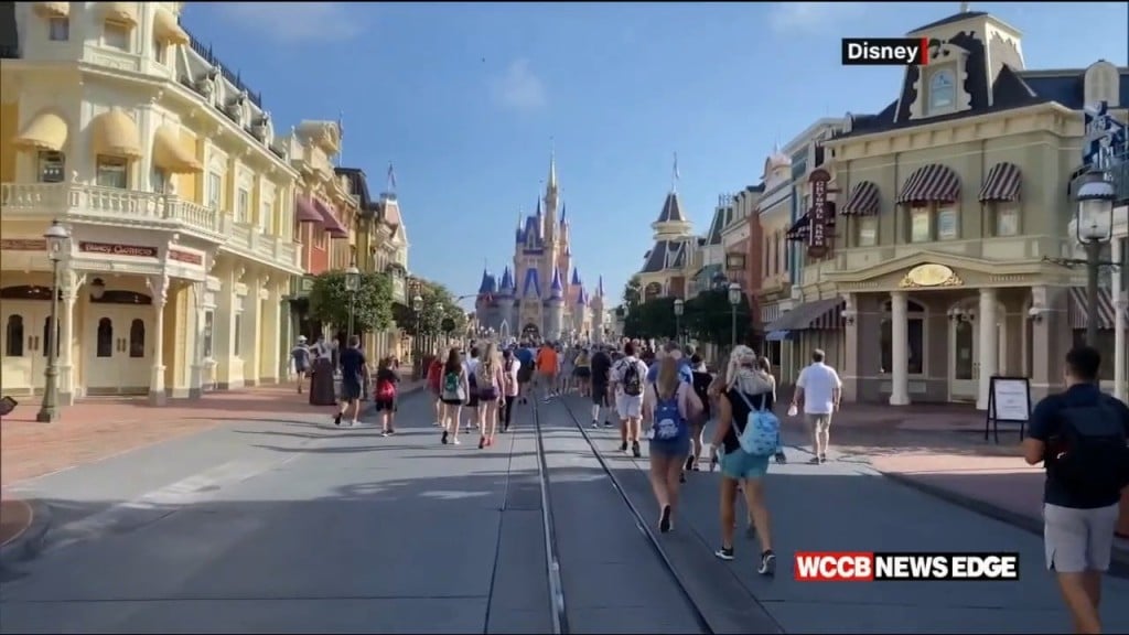 What Do You Think Of Disney's New Policies?