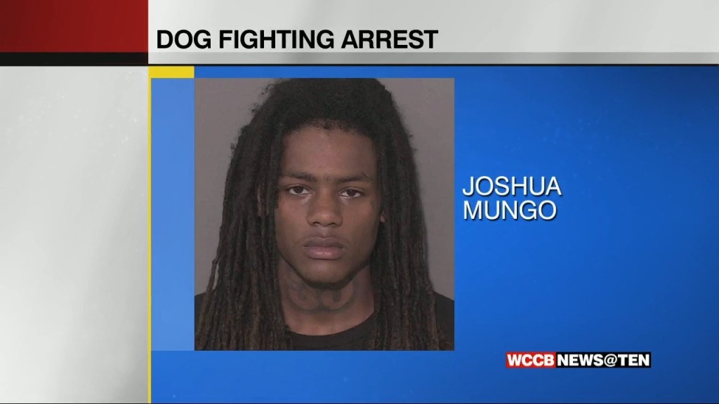 Dog Fighting Arrest