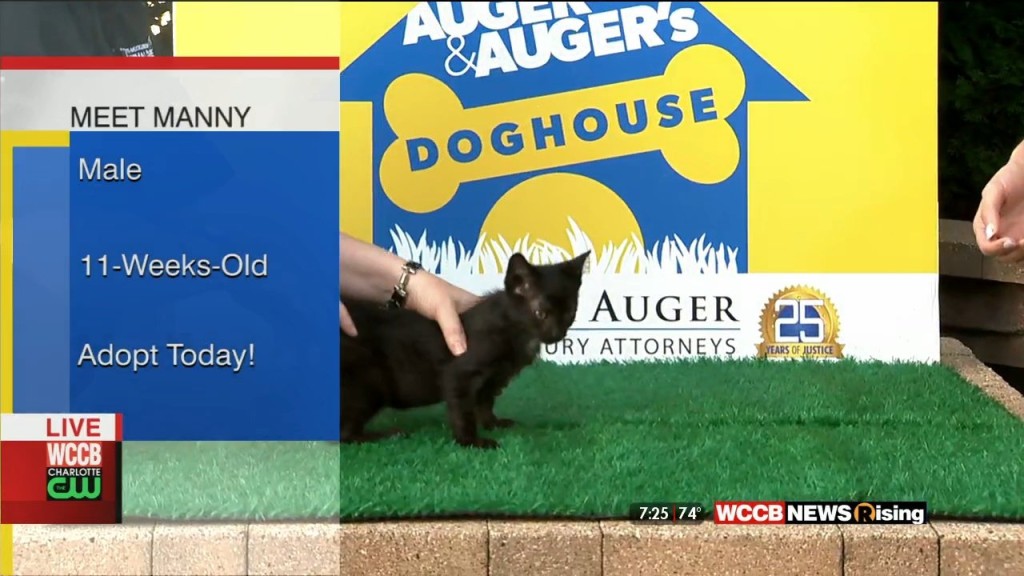 Auger & Auger's Doghouse: Meet Manny