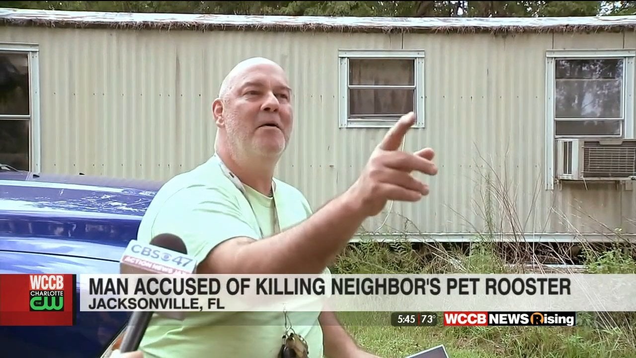 Florida Man Claims Self-Defense After Killing Neighbor's Rooster - WCCB  Charlotte's CW