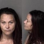 Brittany Mathis - Failure To Appear In Court - Motor Vehicle Larceny - First Degree Burglary - Failure To Appear