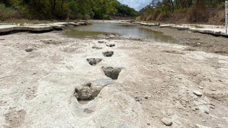 Photo by Dinosaur Valley State Park in Texas