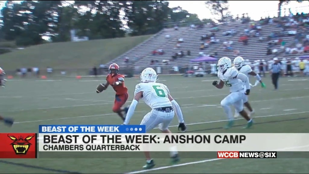 Beast Of The Week: Anshon Camp