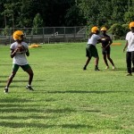 Img 0338
