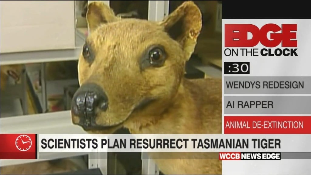 Edge On The Clock: Researchers Work To Resurrect Extinct Species