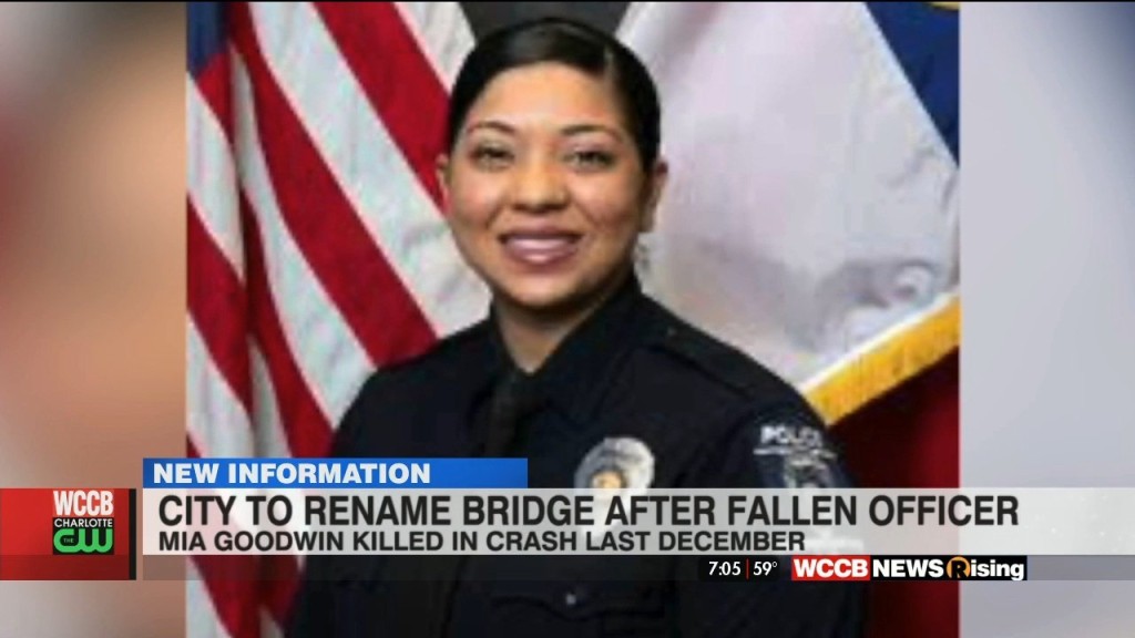 Mia Goodwin Memorial Bridge Resolution