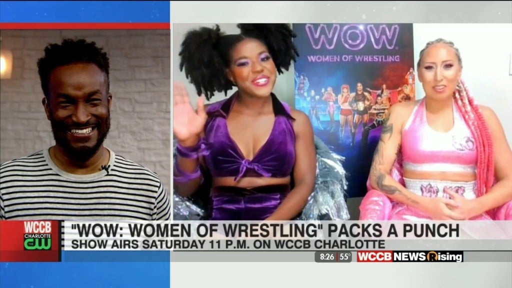 New Cw Show, "wow: Women Of Wrestling", Packs No Punches