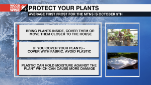 Protecting Plants From Frost