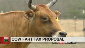 New Zealand Proposed Cow Farting Tax