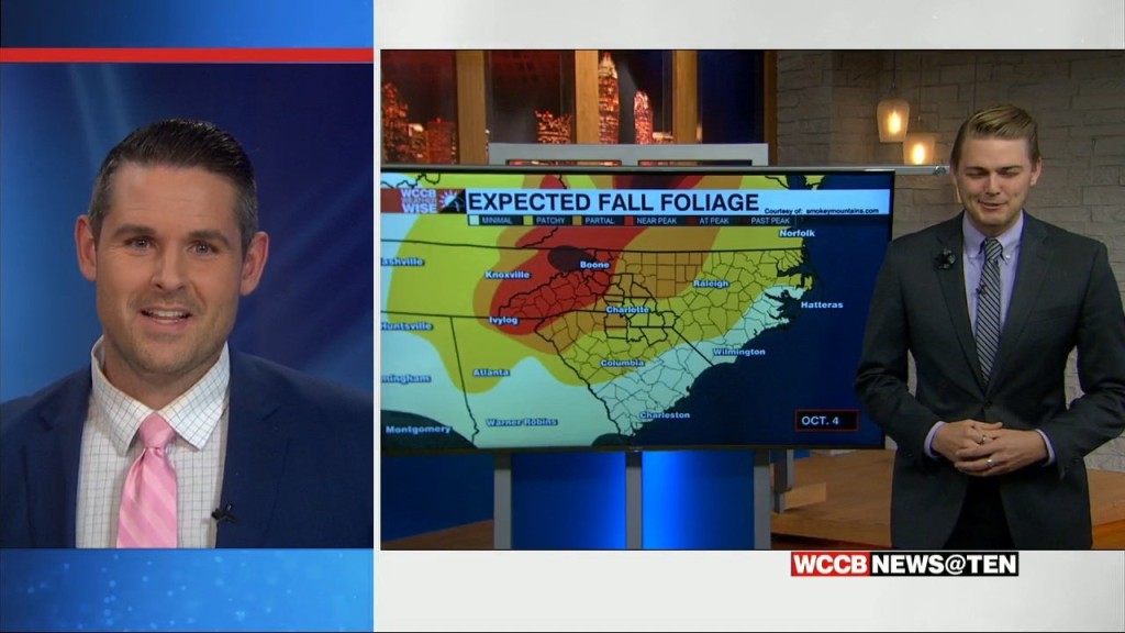 Fall Foliage Forecast