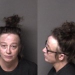 Emmylou Shehan Failure To Appear Domestic Violence Protection Order Violation