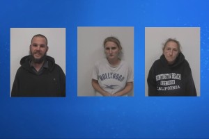 Davidson County Arrests