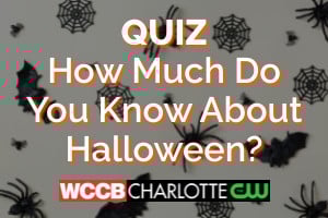 Halloween Quiz Graphic