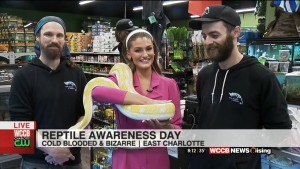 Reptile Awareness Day At Cold Blooded And Bizarre