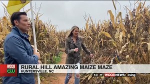 Amazing Maize Maze At Historic Rural Hill