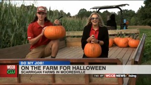 Dmj: Scarrigan Farms