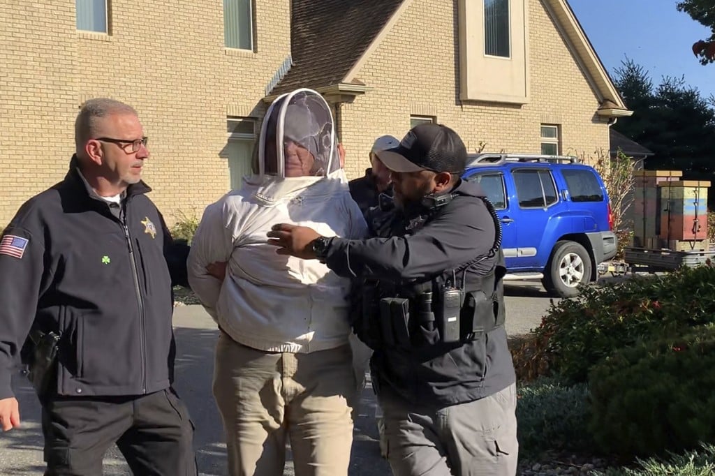 Bee Attack Deputies