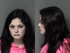 Julie Wiggin S Breakingentering Telephone Interference Emergency Communication Simple Assault