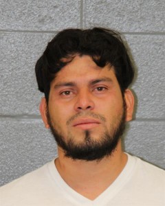 Geovanny Villalobos Assault On A Female