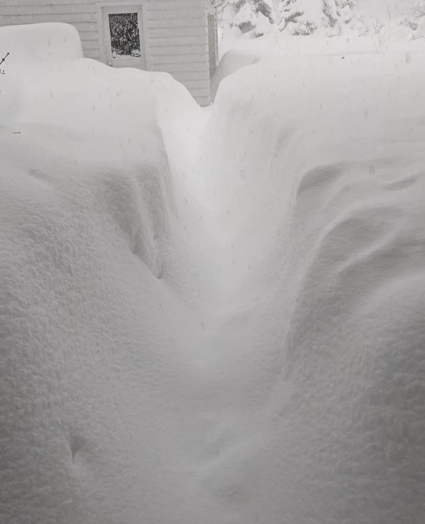 Lake-effect snow in Hamburg, NY via S.J. Velasquez