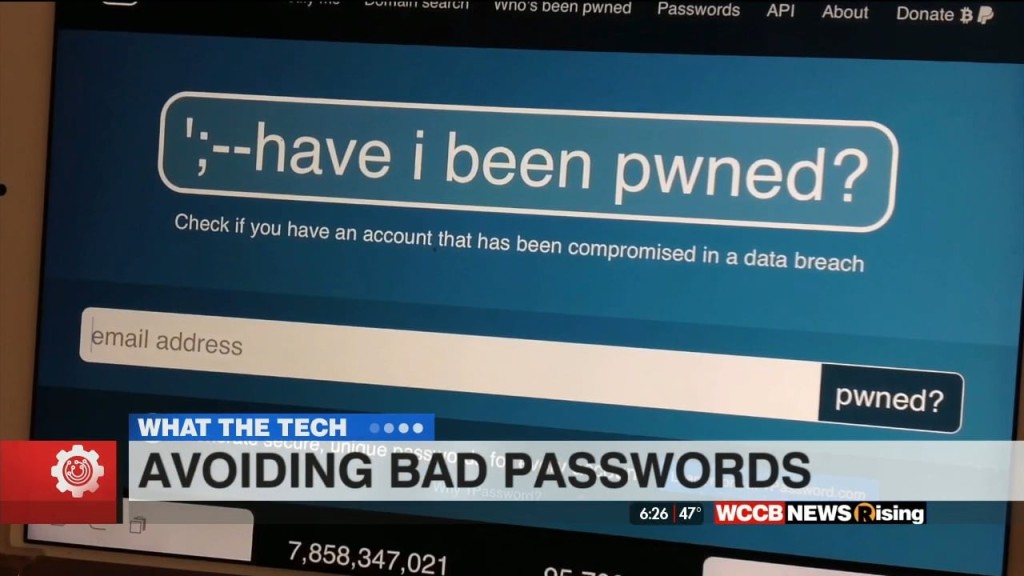 What The Tech: Bad Passwords