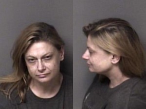 Stephanie Brown Possession Of Schedule Iii Controlled Substances