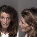 Lisa Reinhardt Failure To Appear In Court
