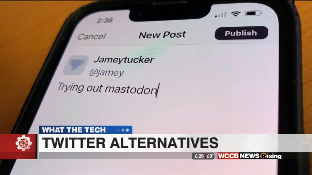 What The Tech: Twitter Alternatives