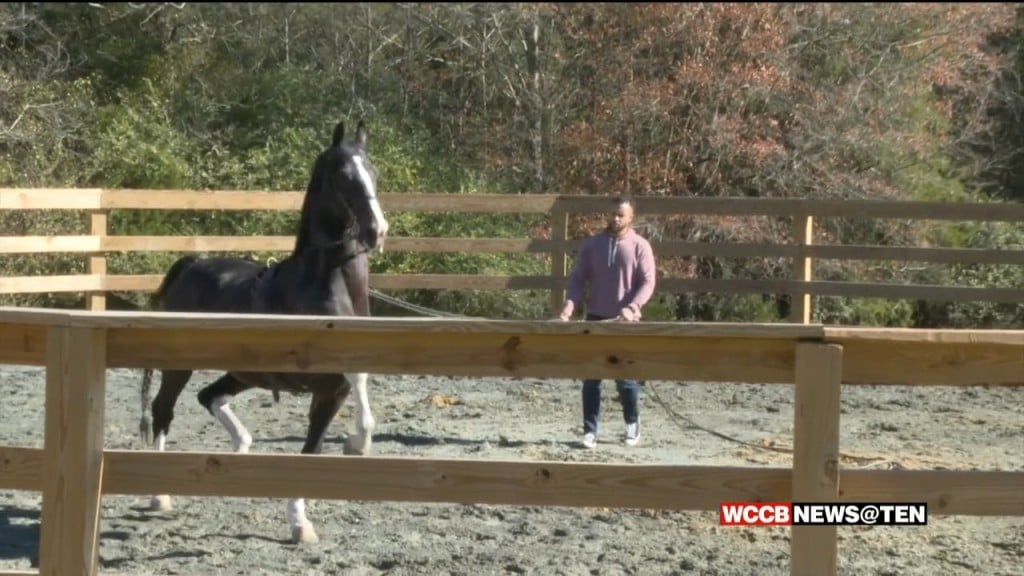 Former Football Player Living Childhood Dream Training Horses