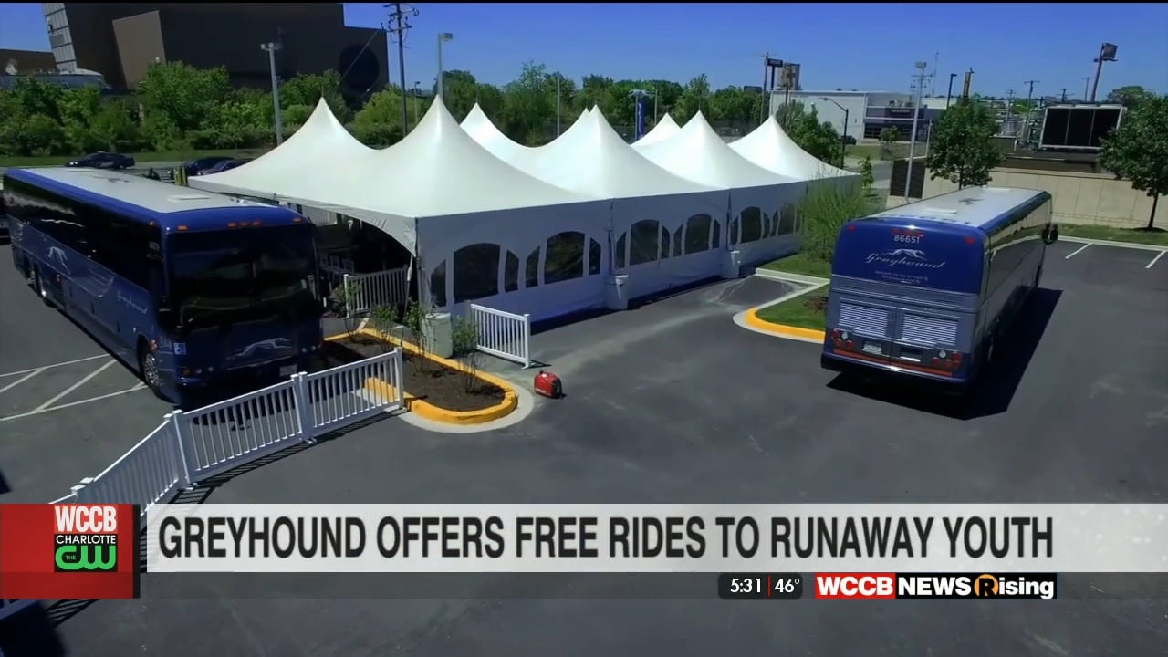 Greyhound Offering Free Rides To Runaway Youth WCCB Charlotte's CW