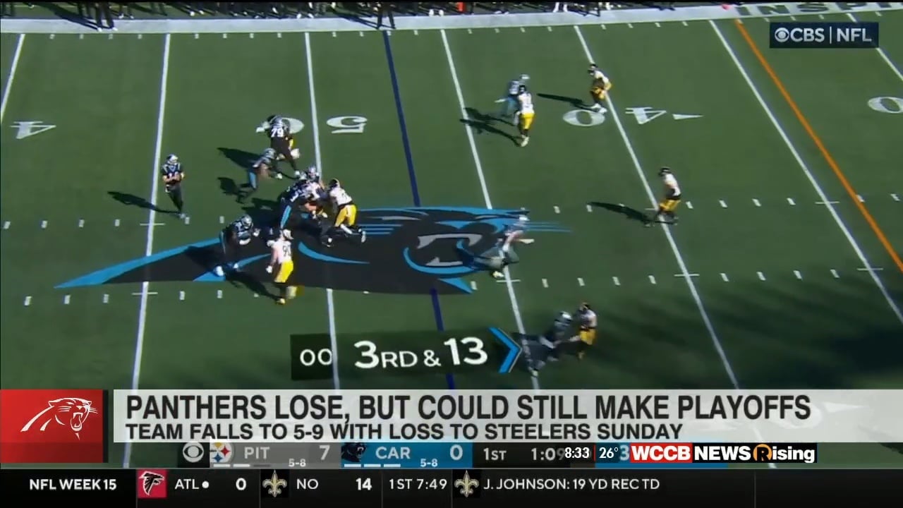 Panthers lose, 24-16, to Steelers