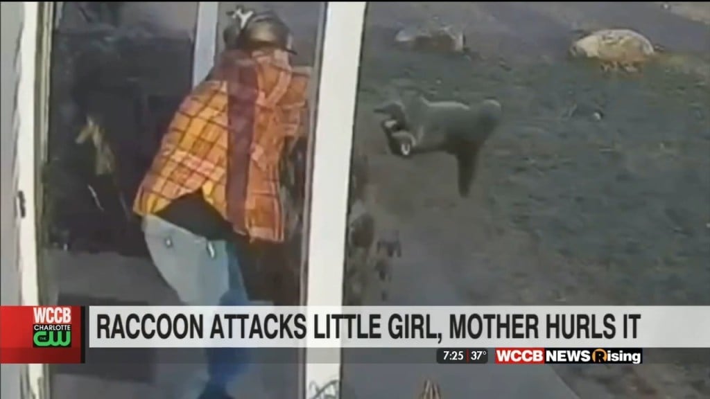 Mom Saves Daughter From Rabid Raccoon