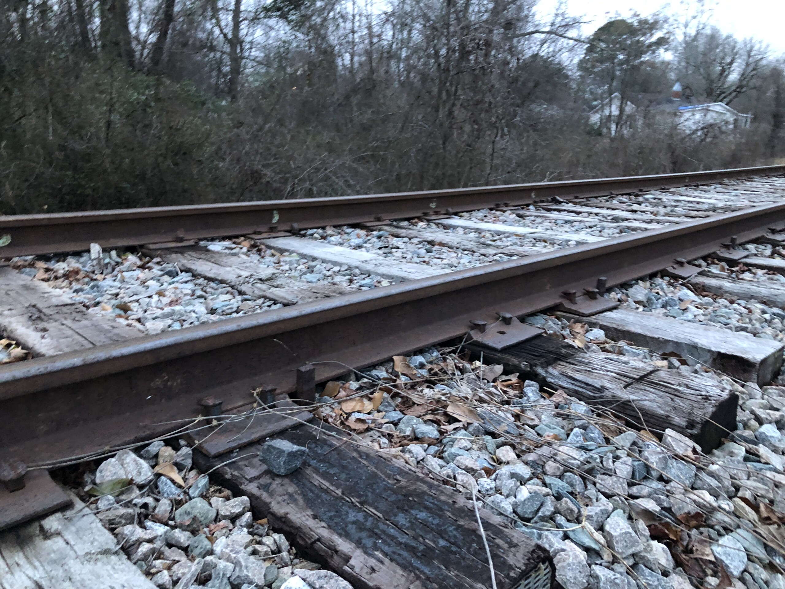 Reward Offered In Case Of Newborn Baby Found Dead Along Railroad Tracks ...