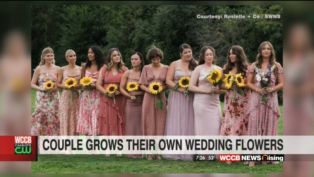 Cheap Alternative To Flowers From Florist