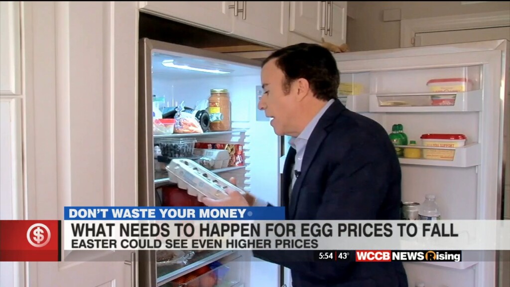 Don't Waste Your Money: Egg Prices
