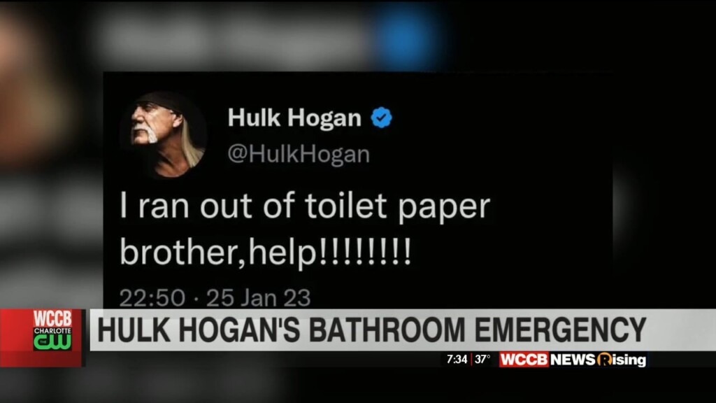 Hot In Hollywood: Hulk Hogan Runs Out Of Toilet And Hockey Player Pulls Tooth During Game